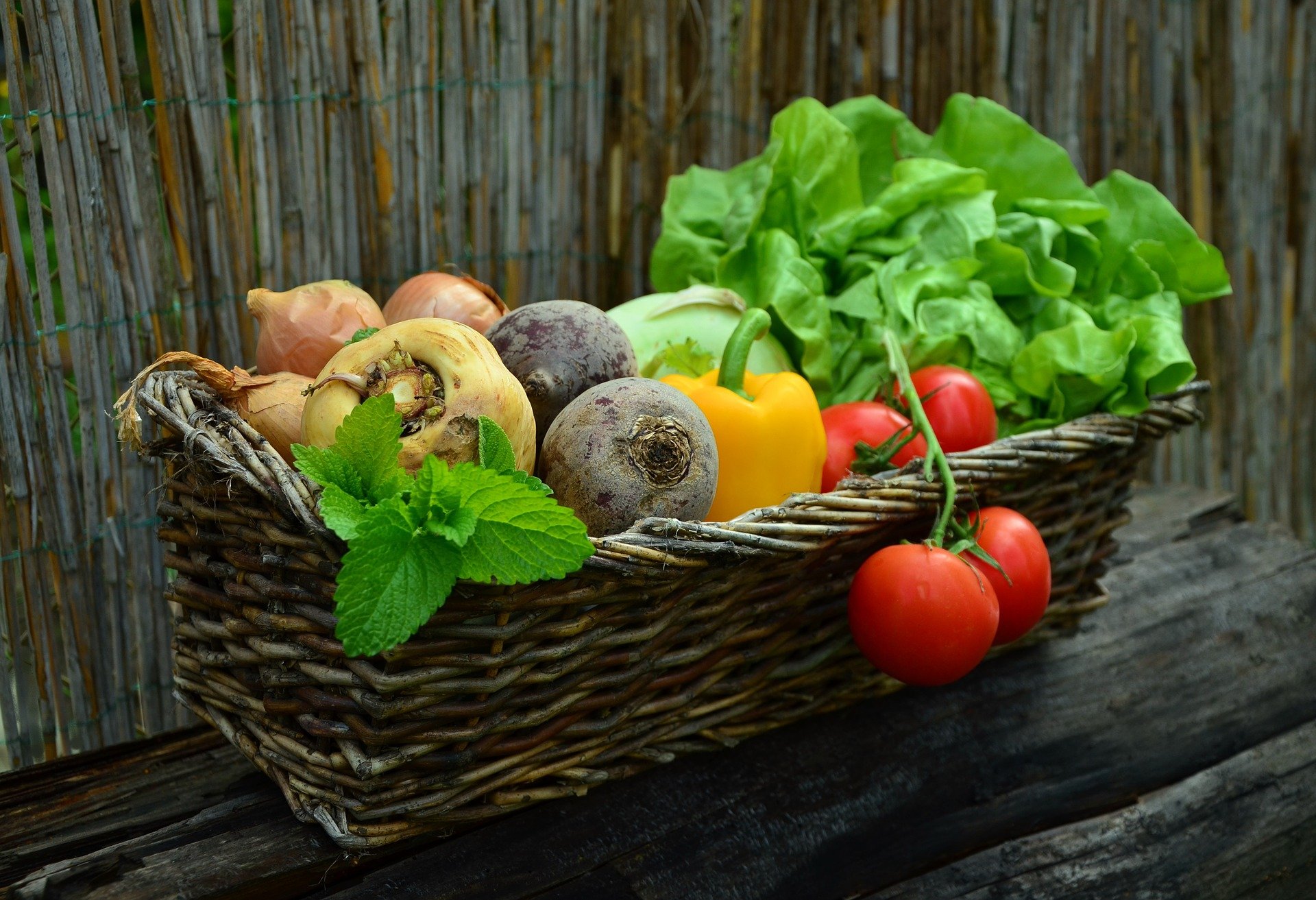 Pourquoi manger les fruits et légumes de saison ?